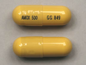 Amoxil (Amoxicillin) Amoxil (Amoxicillin)