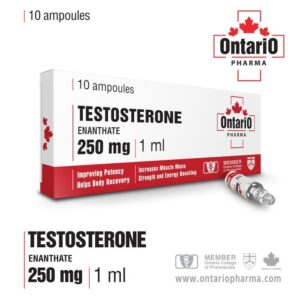 Test E INJ (Testosterone Enanthate) 250 mg/mL Test E INJ (Testosterone Enanthate) 250 mg/mL